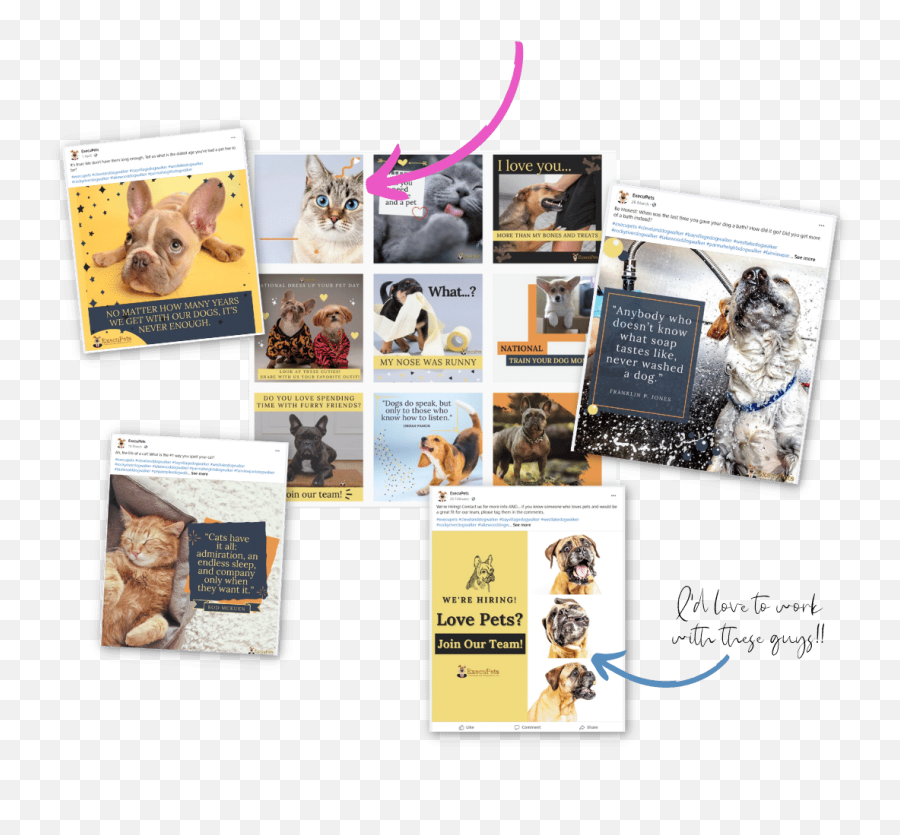 Better Marketing With Bella - Jump Consulting Emoji,Copy Paste Dog Emoji
