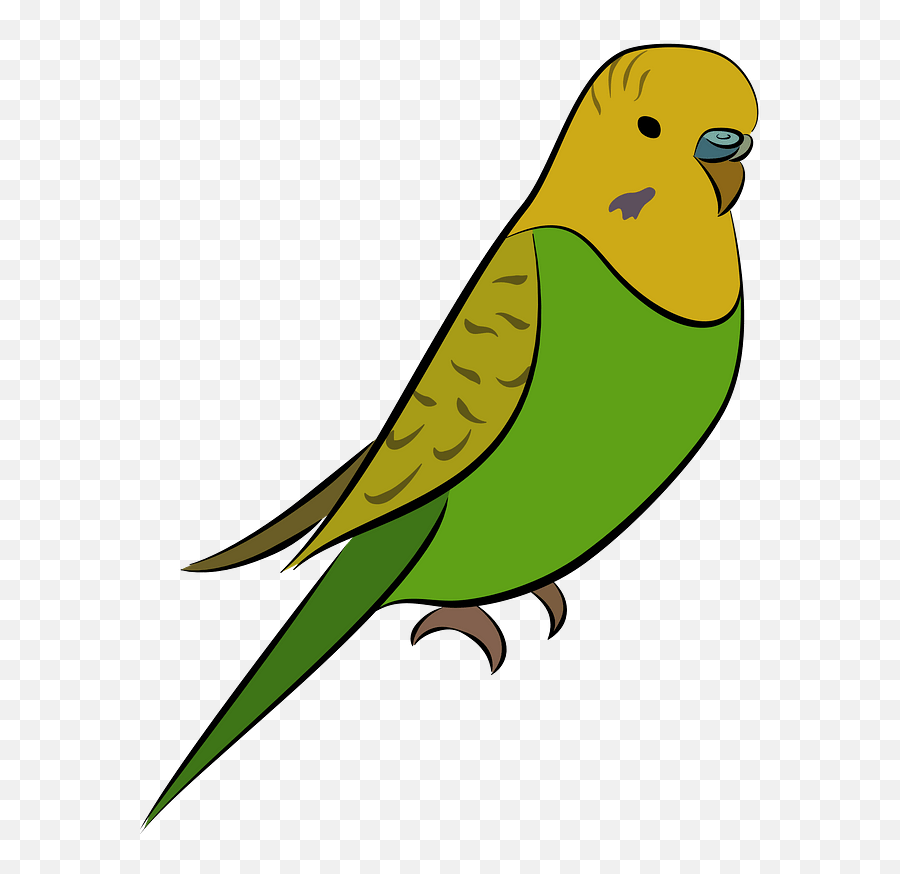 Budgie Clipart - Perico Png Emoji,Parakeet Emoji
