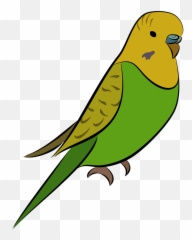 Budgie Clipart - Perico Png Emoji,Parakeet Emoji