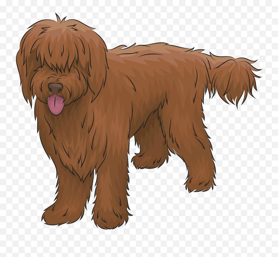 Australian Labradoodle Clipart - Vulnerable Native Breeds Emoji,Australian Shepherd Emoji