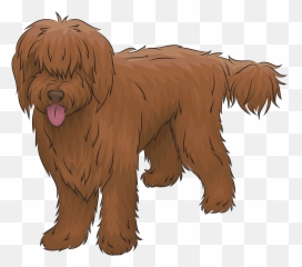 Australian Labradoodle Clipart - Vulnerable Native Breeds Emoji,Australian Shepherd Emoji