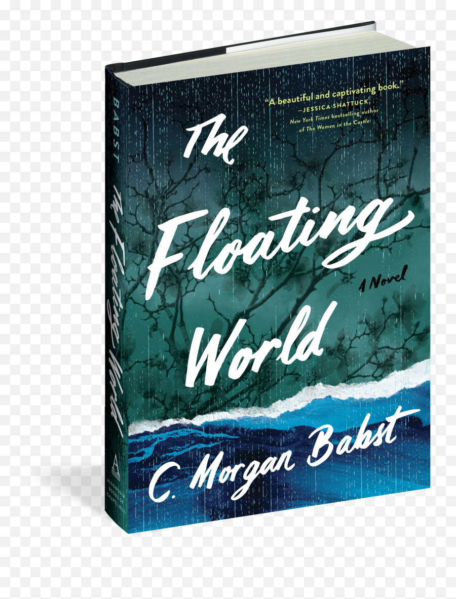 A Debut Novelistu0027s Elegy For Post - Katrina New Orleans The Horizontal Emoji,What New Book Brings You Thourgh All The Emotions