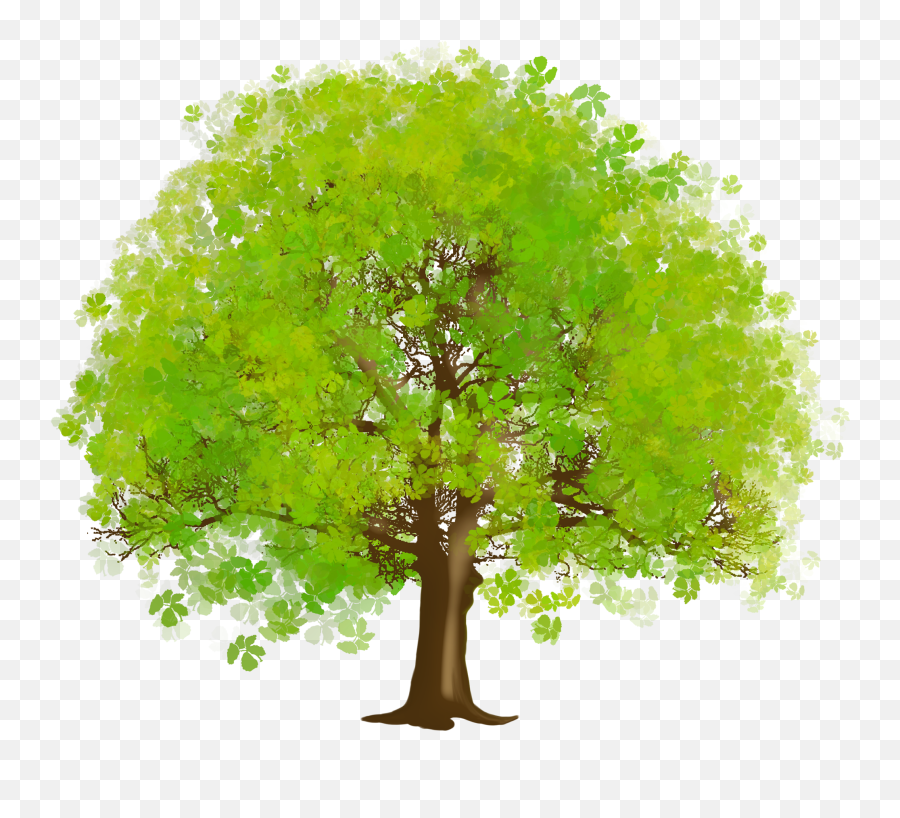 Vines Clipart Family Tree Vines Family Tree Transparent - Beautiful Tree Clipart Emoji,Poison Ivy Leaf Emoticon