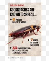 Pco News - Parasitism Emoji,Plunkett’s Wheel Of Emotions