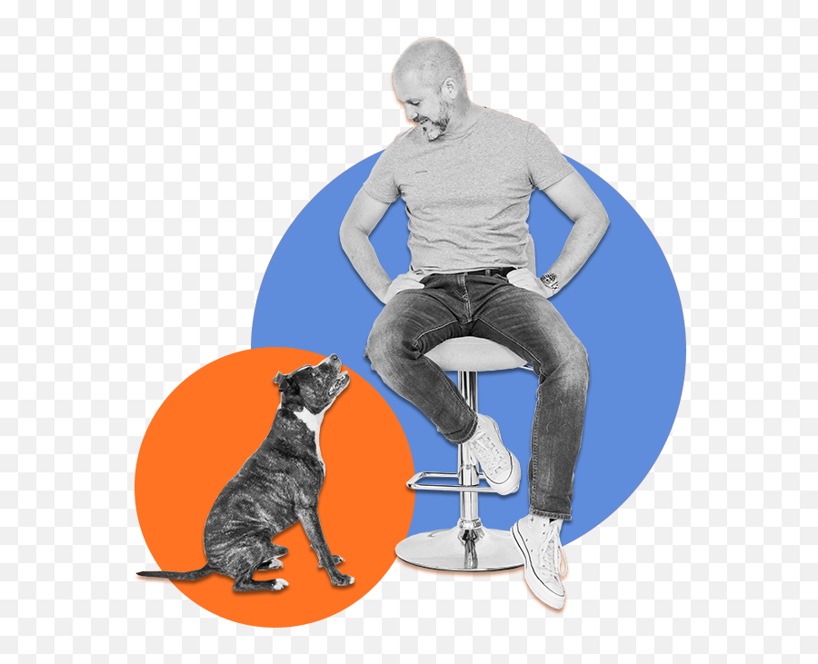 Steve Mann Dog Training - Sitting Emoji,Bbc Dogs Emotions
