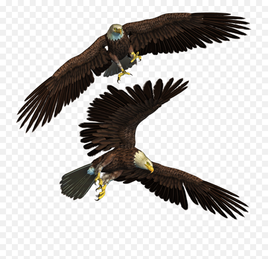 Ftstickers Sticker - 2 Eagle Png Emoji,Bald Eagle Emoji