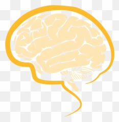 Brain Based Neurologic Care U2013 Skraitz Chiropractic - Human Brain Emoji,Golden Sun Emotions Puzzle