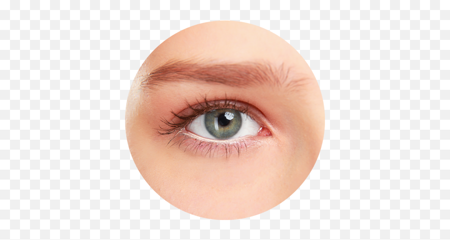 Eyebrows Monika Johnston - Warm Teal Eyes Emoji,Eyebrows Emotions