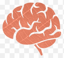 Brain Emoji,Emotions In Brain Scans