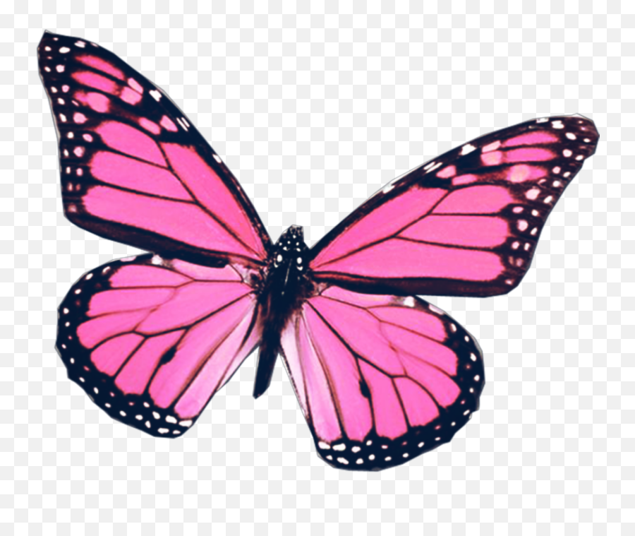 Mariposa Sticker - Pink Butterfly Emoji,Emoji Mariposa