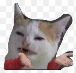Funny Cats Memes Stickers Wastickerapps - Memes Sticker Png Funny Emoji,Ridiculous Cat Emojis Free Android