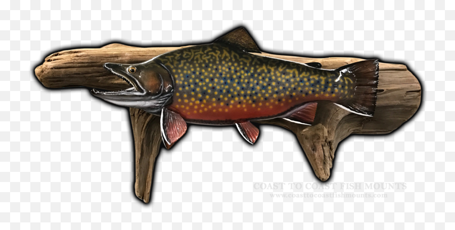 18 Brook Trout Fish Mount Replica Ccbk114 - Pacific Salmons And Trouts Emoji,Fish Relating To Emotions