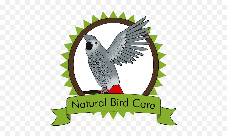 Natural Bird Emoji,Parott's Emotions
