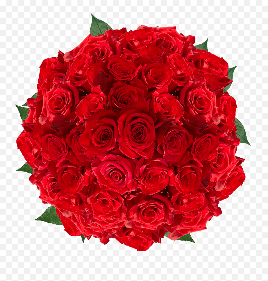 200 Red Roses Special Absolutely - Cheap Red Roses Emoji,Rolling Roses Mixed Emotions