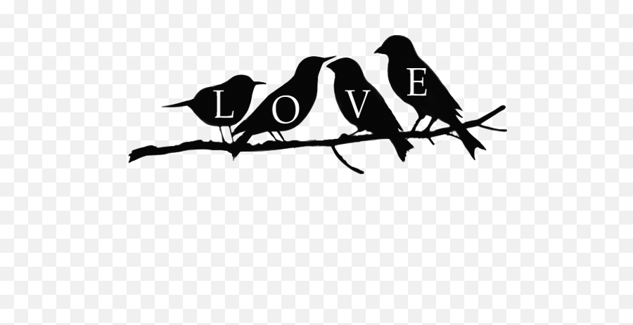 Love Love Bird Birds Sticker By Darietta8177365 - Twig Emoji,Love Birds Emoji