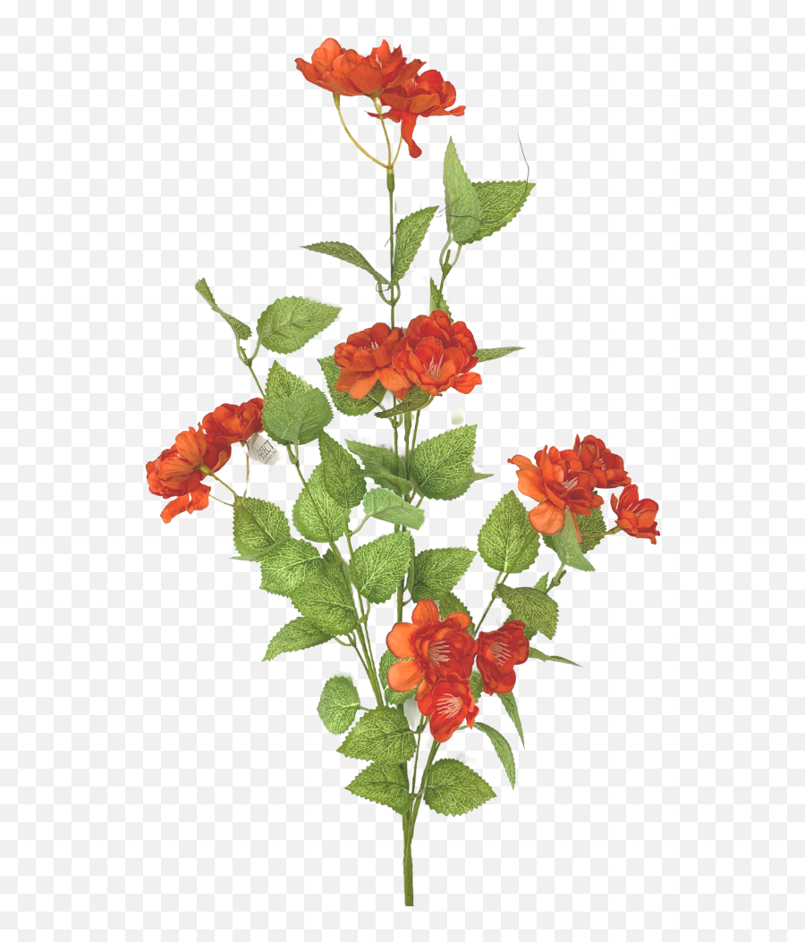 36 Coral Wild Rose Spray 4757 - Cor In 2021 Wild Roses Emoji,Aqua Emotion Palete