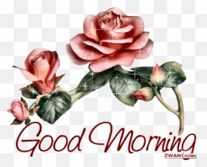 Zwani Graphics U0026 Comments Good Morning Images Good Emoji,What Emojis To Comment On Instagram For Family