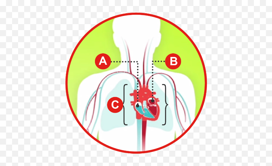 Types Of Heart Failure American Heart Association Emoji,What Does Heart Wall In Emotion Code