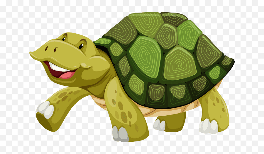Cartoon Turtle Vector - Turtle Png Image And Clipart Turtle Art Vector Png Emoji,Turtle Shell Emoji
