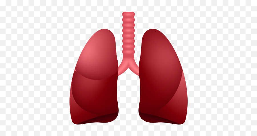 Lungs Icon - Lung Emoji Transparent Background,Red Herat Emoji Overlay