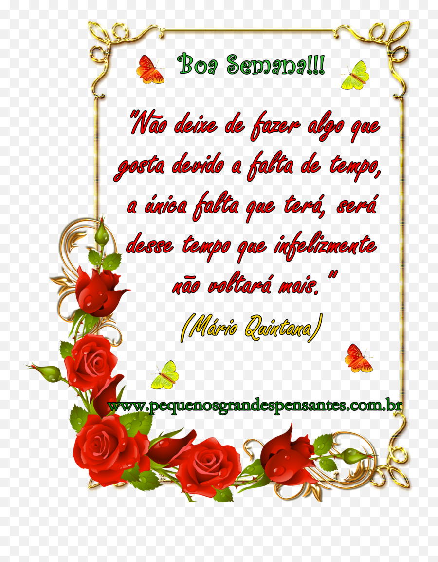 Fevereiro 2014 - Transparent Flower Rose Border Png Emoji,Desenho De Emoticon Chorando Para Colorir