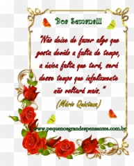 Fevereiro 2014 - Transparent Flower Rose Border Png Emoji,Desenho De Emoticon Chorando Para Colorir
