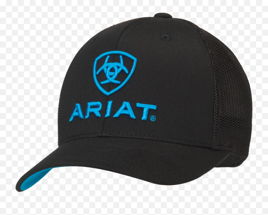 Western Cowboy Hats For Men - Purchase Online Cachuchas Ariat Emoji,Snapback Hats Galaxy With Emojis