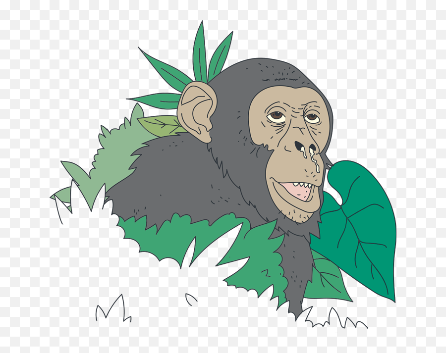 Protect Great Apes From Disease Protect Great Apes From - Ugly Emoji,Emoji Monkey Covering Mouth Png