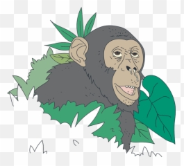 Protect Great Apes From Disease Protect Great Apes From - Ugly Emoji,Emoji Monkey Covering Mouth Png