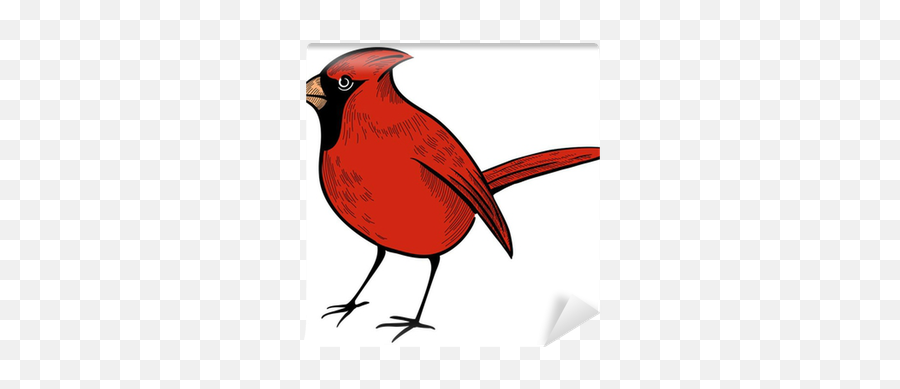 Cardinal Bird Wall Mural Pixers We - Northern Cardinal Emoji,Red Cardinal Bird Emoji