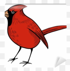 Cardinal Bird Wall Mural Pixers We - Northern Cardinal Emoji,Red Cardinal Bird Emoji