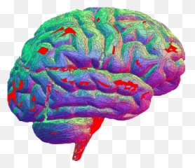 Top Brain Fart Stickers For Android - Brain Animated Gif Transparent Emoji,Brain Fart Emoji