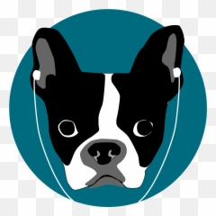 Podrex Podcast Recommendations - Airborn Academy Emoji,Invisibilia Emotions