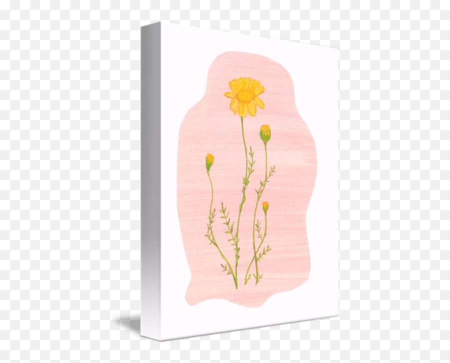 Chamomile Roman - Decorative Emoji,Chamoile Emotions