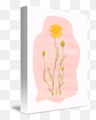 Chamomile Roman - Decorative Emoji,Chamoile Emotions