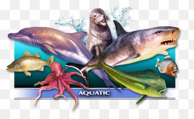 Aquatic Life - Great White Shark Emoji,Animatronic Emotion