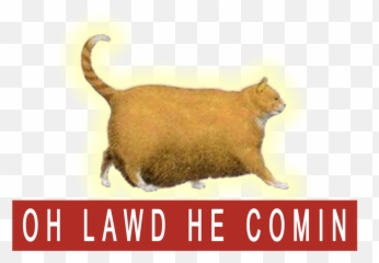 Chonk Cat Meme T - Meme Pillows Emoji,Cats Memes To Express Emotion