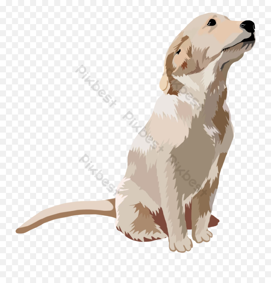 Sitting Dog With Head Up Picture Free Png Transparent Layer - Golden Retriever Emoji,Dog Emoji Copy And Paste