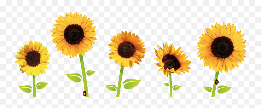 Transparent Yellow Flowers Tumblr - Rwanda 24 Animated Gif Gif Of Good Morning Emoji,Yellow Flower Emoji Png