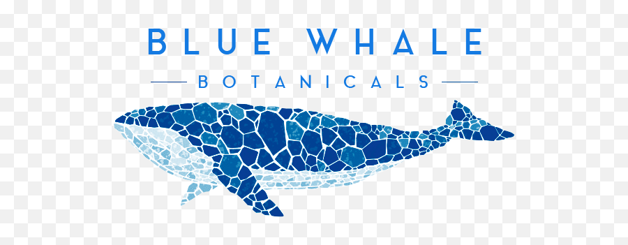 Download Blue Whale Botanicals - Mosaic Whale Png Image With Whale Mosaic Emoji,Different Whale Emojis