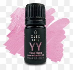 Buy Focus Driver Roll - On Natural Perfume Online Wholesale Emoji,Oils Book For Emotions