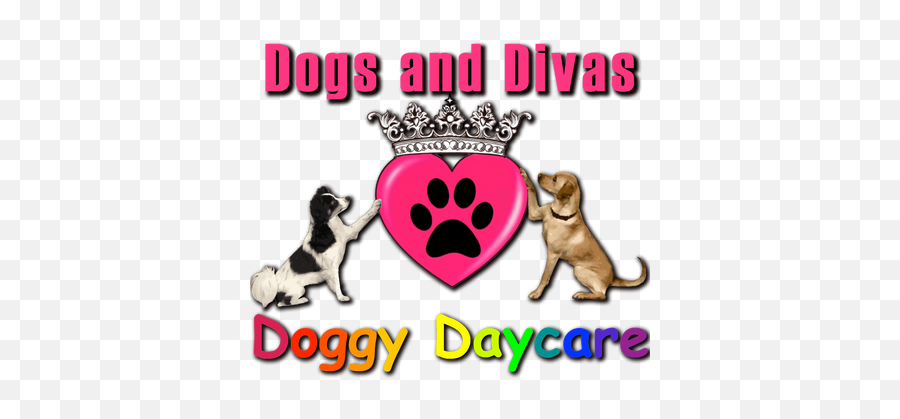 Dogs And Divas Doggy Day Care Trafford Park Manchester Emoji,Videos Of Dogs Emotions
