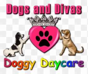 Dogs And Divas Doggy Day Care Trafford Park Manchester Emoji,Videos Of Dogs Emotions