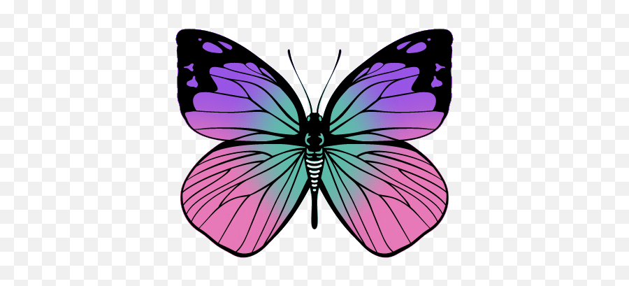 Butterfly Memorial Garden - Butterfly Memorial Garden Emoji,Blue Butterfly Emoji Mean
