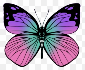 Butterfly Memorial Garden - Butterfly Memorial Garden Emoji,Blue Butterfly Emoji Mean