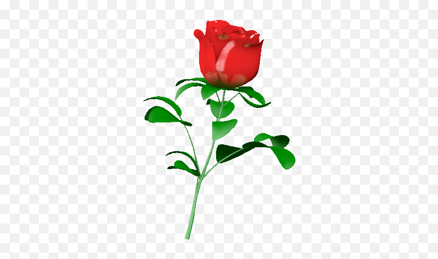 I Love You Rose Sticker - Hd Rose I Love You Emoji,Rose Emoji Android
