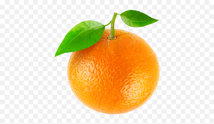Low Calorie Vodka Drinks For Summer - Orange Fruit Picture To Print Emoji,Emoji Dirty Martini