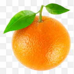 Low Calorie Vodka Drinks For Summer - Orange Fruit Picture To Print Emoji,Emoji Dirty Martini