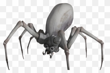 Krykna Wookieepedia Fandom - Star Wars Spiders Emoji,Creatures That Feed On Emotions