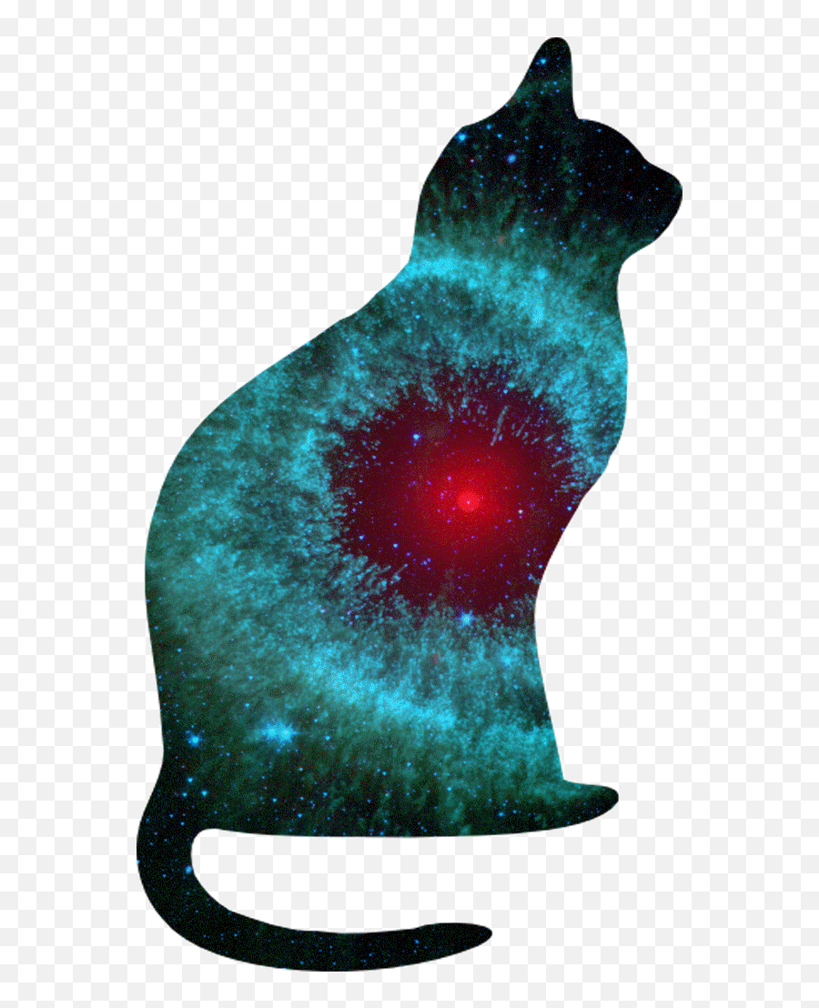 Top Space Jam Stickers For Android U0026 Ios Gfycat - Space Cat Gif Png Emoji,Asian Emojis Cat